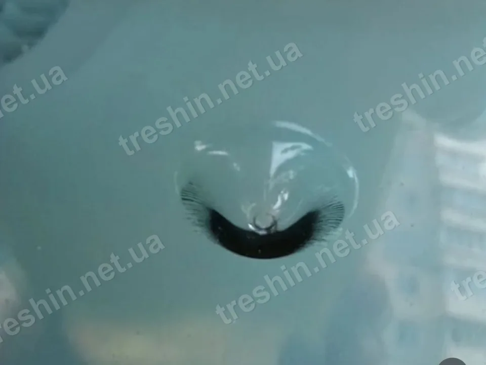 Крупный скол с раскрошенной серединой на лобовом стекле